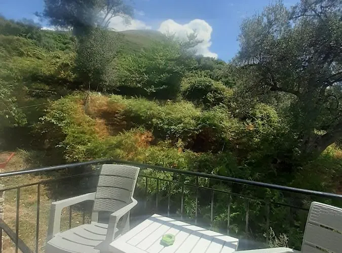 Amantius Himare 民宿 博尔什