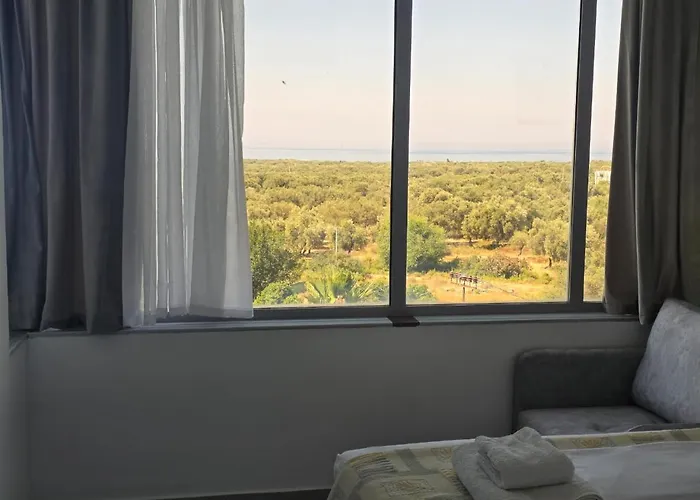 Amantius Himare 博尔什